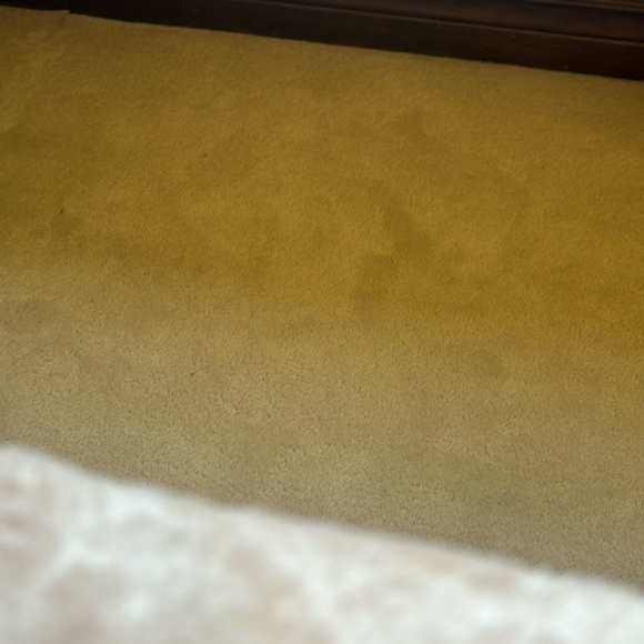 Lulu Skater Dress - Picture 2 of 2